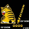 Cat moving tail & paws - 3D car sticker for rear windshield window wiper