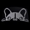 Waterproof - vinyl car sticker with a dog's face