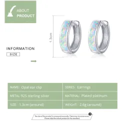 925 sterling silver earrings with opalEarrings