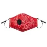 PM2.5 - activated carbon - face / mouth mask with filter - anti-dust - antibacterial - reusable