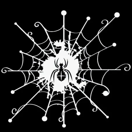 Cartoon web with a spider - car sticker