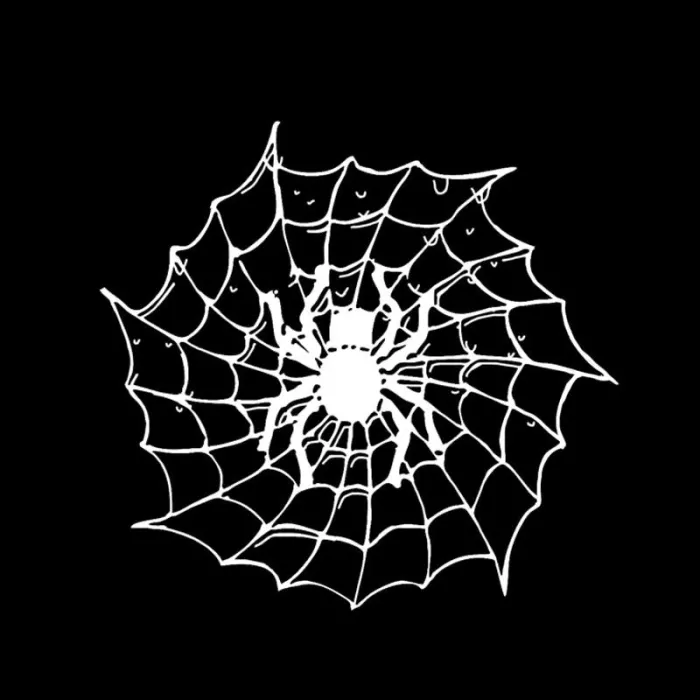 Spider on a spider web - car sticker