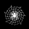 Spider on a spider web - car sticker