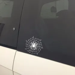 Spider on a spider web - car sticker