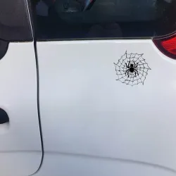 Spider on a spider web - car stickerStickers