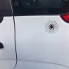 Spider on a spider web - car stickerStickers