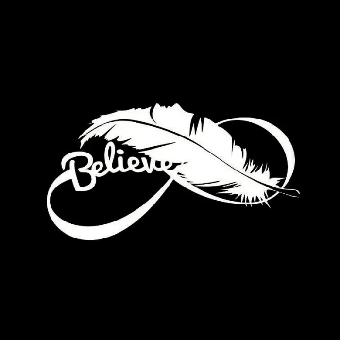 Bird feather - vinyl car sticker
