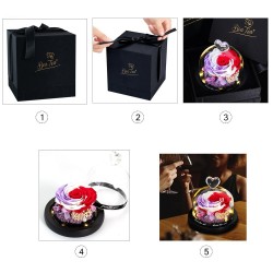 Preserved eternal rose - glass box with light - Valentine's day / wedding giftValentine's day