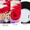 Preserved eternal rose - glass box with light - Valentine's day / wedding giftValentine's day
