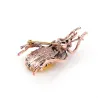 Green crystal beetle - broochBrooches
