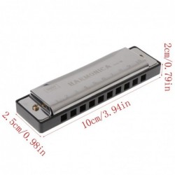 Harmonica - 10 holes - key C - musical instrument - with caseHarmonica