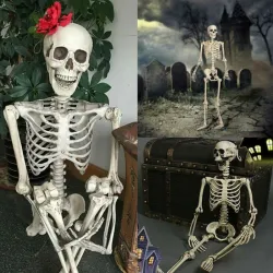 Full life size human skeleton - movable - Halloween decoration - 40cm