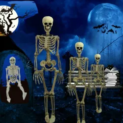 Full life size human skeleton - movable - Halloween decoration - 40cm