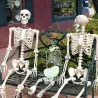 Full life size human skeleton - movable - Halloween decoration - 40cm