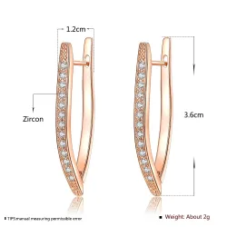 Elegant earrings with crystals - V-shapeEarrings
