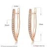 Elegant earrings with crystals - V-shapeEarrings