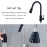 Kitchen faucet - pull-out head nozzle - rotatable - stainless steelKitchen faucets