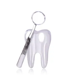 Dentist mirror / tooth - elegant brooch