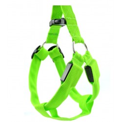 Dog harness - LED - flashing / glowing lights - night safetyCollars & Leads