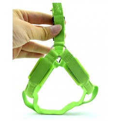 Dog harness - LED - flashing / glowing lights - night safetyCollars & Leads