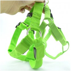 Dog harness - LED - flashing / glowing lights - night safetyCollars & Leads