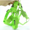 Dog harness - LED - flashing / glowing lights - night safetyCollars & Leads