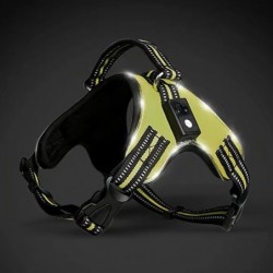 Dog harness - LED - flashing / reflective lights - safety night walk - waterproofCollars & Leads