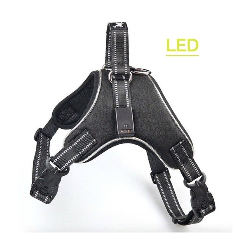 Dog harness - LED - flashing / reflective lights - safety night walk - waterproofCollars & Leads
