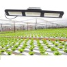 Plant grow lamp - LED light - Samsung LM561C Cree 660nm chip - 73W / 150WGrow Lights