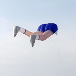 3D large legs kite - inflatable - with kite lineKites
