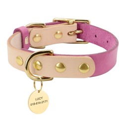 Leather collar - for dogs / cats - personalized pet name - phone number - ID tagCollar & Leads
