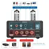 AIYIMA T9 - HiFi - Bluetooth 5.0 - forsterker - USB - 100W