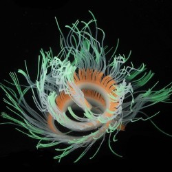 Fleksibel silikonkorall / anemone - glødende i mørke - akvariedekorasjon