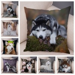 Dekorativt putetrekk - Siberian husky dog - 45 * 45 cm