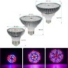 LED-pære - plantevekstlys - fullt spekter - hydroponisk - E27 - 10W - 30W - 50W - 80W