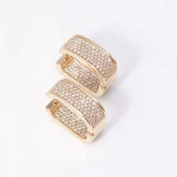 Small zircon earringsEarrings
