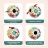 Ladybird - magisk massasjekube - sanse- / spinneleke - LED