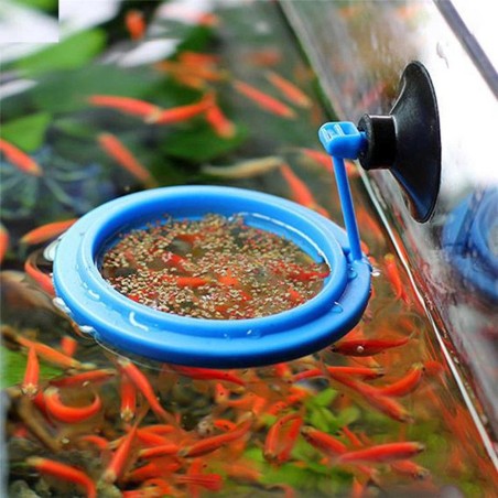 Akvariumsirkel / firkantet matmater