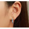 Green-blue crystal feathers - earrings - 925 sterling silverEarrings