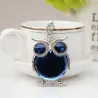 Blue crystal owl - keychainKeyrings