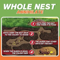 Anti ants bait - killing powderInsect control