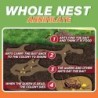 Anti ants bait - killing powderInsect control