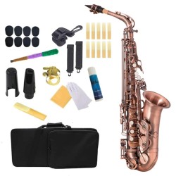 Professional saxophone - key-Eb Alto - with case / accessoriesSaxophones