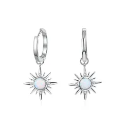 Round earrings with a star / opalEarrings