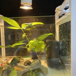 Lavvannsfilterpumpe - hengende foss - vannsirkulasjon - for akvarium