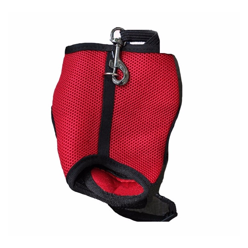 Hamster Rabbit Harness & Leash SetAnimals & Pets