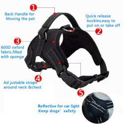 Dog's harness collar lead vestCollars & Leads