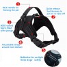 Dog's harness collar lead vestCollars & Leads