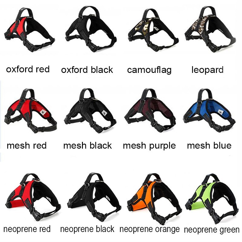 Dog's harness collar lead vestCollars & Leads Dog's harness collar lead vestCollars & Leads
