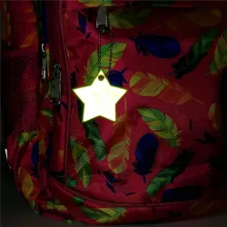 Reflective star - keychainKeyrings